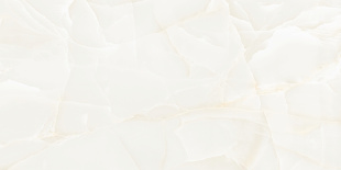 Керамогранит NT Ceramic Onyx Predo арт. NTT99504P (60x120) полированный